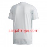 Japan Fodboldtrøjer Udebanesæt Kvindernes VM 2019 Kort ærmer